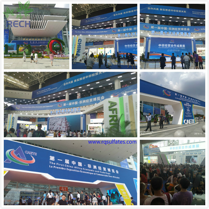 锐启化工预祝第一届中非经贸博览会在湖南省长沙市圆满举办成功